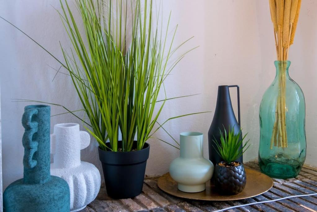 Le Botanica Apartment Angers Exterior photo
